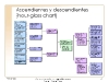 fuentes_arboles_49